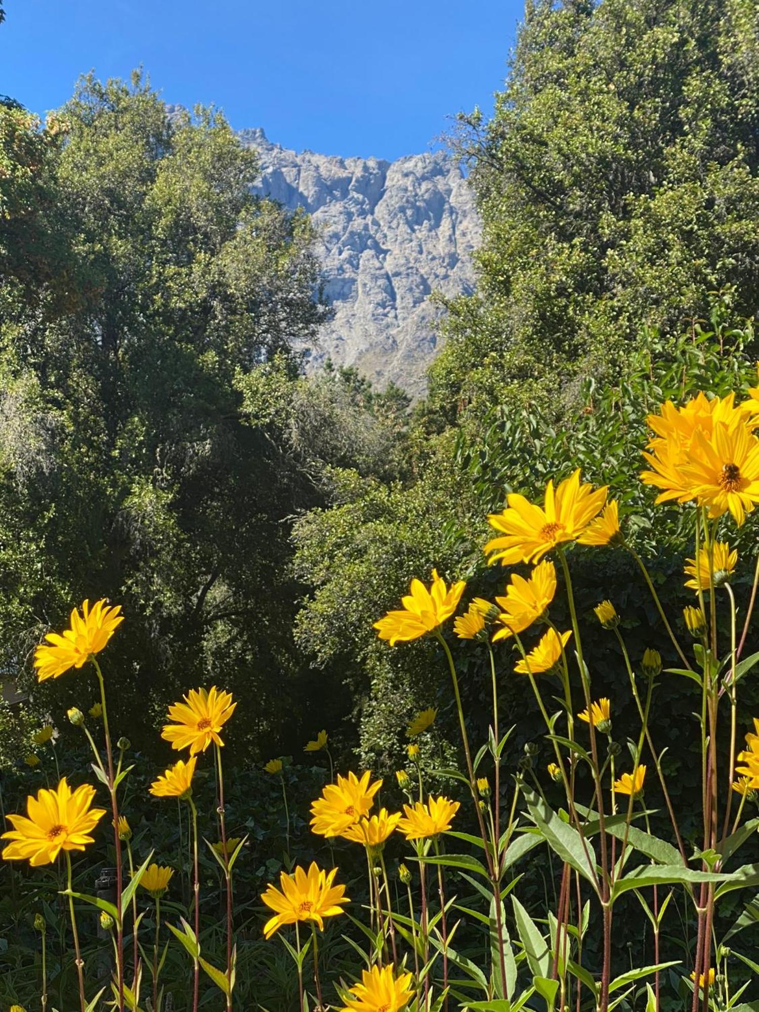 Altos Del Sur De Montaña El Bolsón